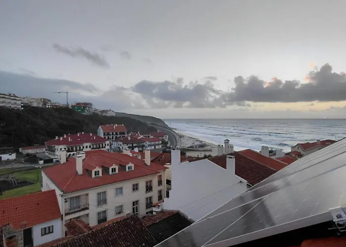 Rosa Sao Pedro De Moel