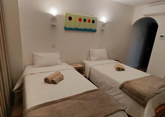 Rosa Sao Pedro De Moel