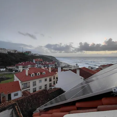 Rosa סאו פדרו דה מואל